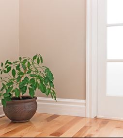 Skirting Board & Architrave